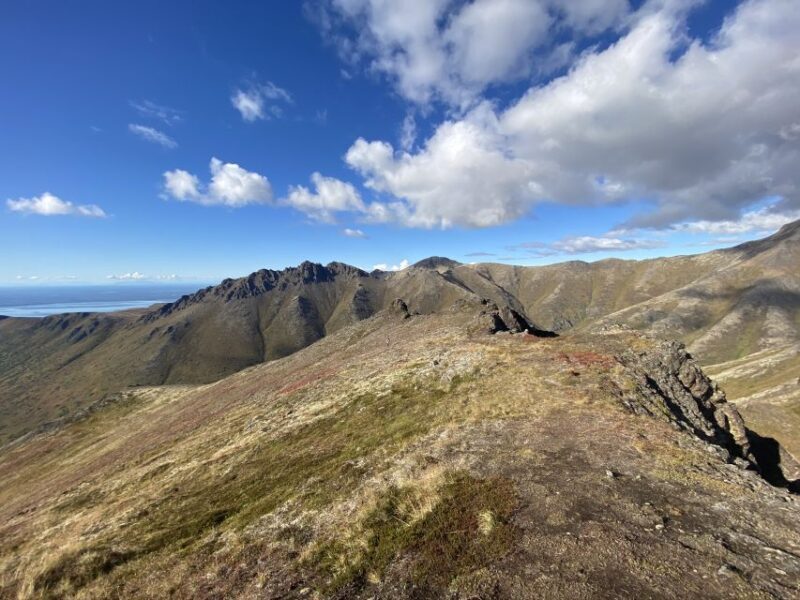 From Anchorage: Chugach State Park Guided Alpine Trek - What to Expect from Your Guided Alpine Trek