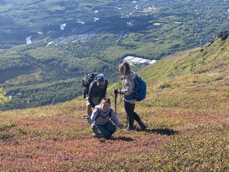From Anchorage: Chugach State Park Guided Alpine Trek - Why This Tour Stands Out