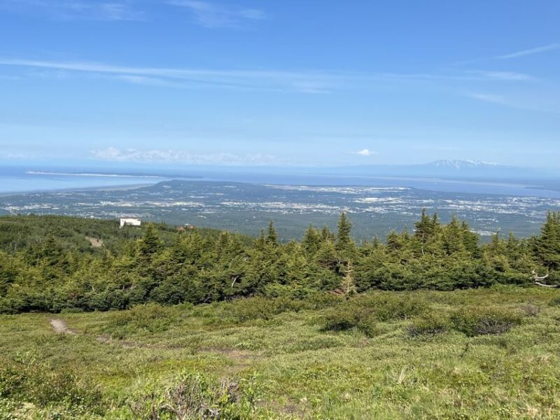 From Anchorage: Chugach State Park Walk with Naturalist - Authentic Feedback from Past Participants