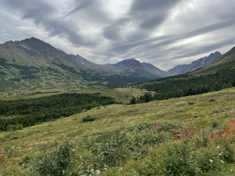 From Anchorage: Chugach State Park Walk with Naturalist - Final Thoughts