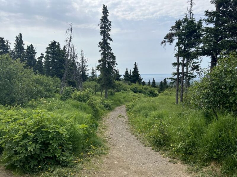 From Anchorage: Chugach State Park Walk with Naturalist - FAQ