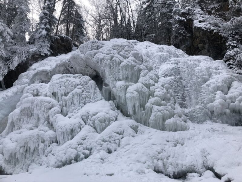 From Anchorage: Chugach State Park Winter Walking Tour - Authentic Experiences Backed by Rave Reviews