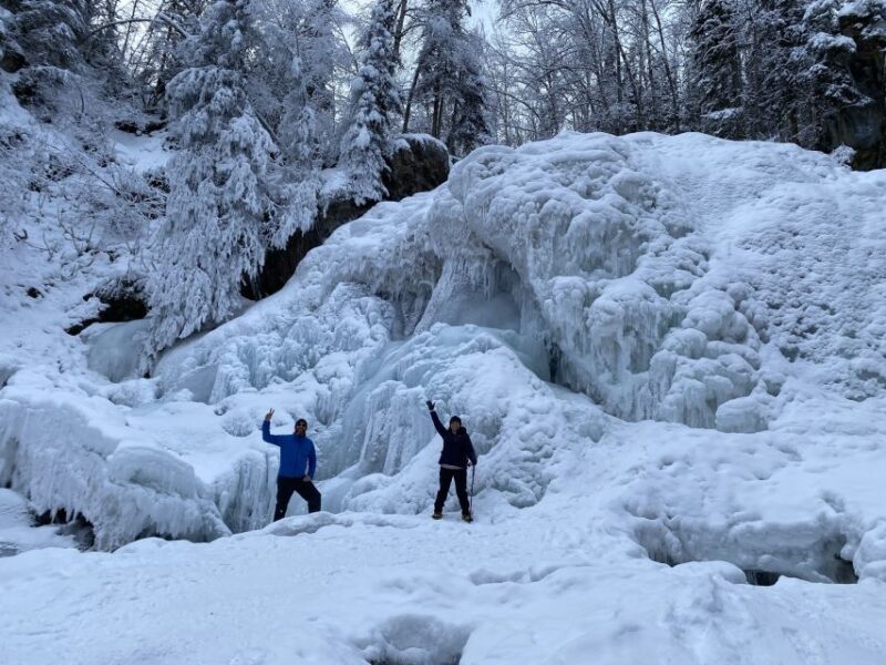 From Anchorage: Chugach State Park Winter Walking Tour - Final Thoughts
