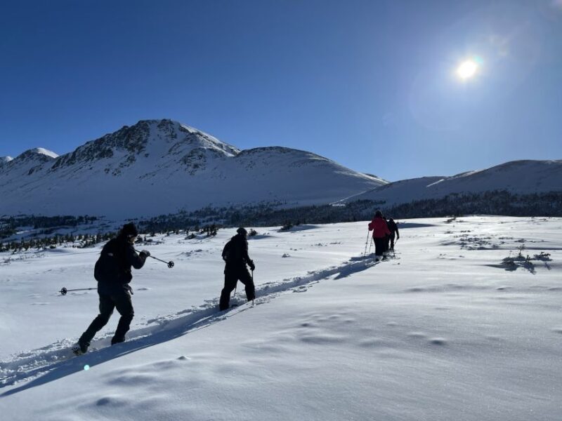 From Anchorage: Glen Alps Beginner's Snowshoeing Adventure - Key Points
