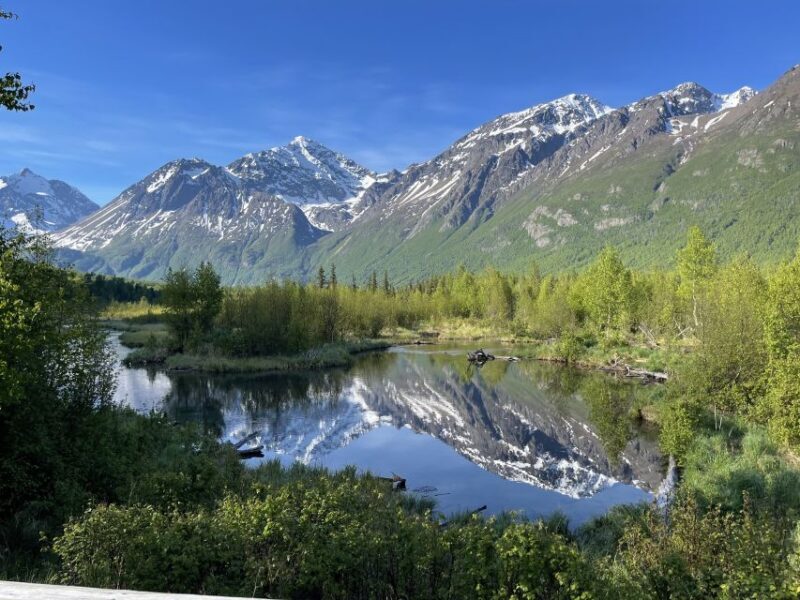 From Anchorage: Valley and Forest Hike with Naturalist Guide - An Authentic Look at the Tour Experience