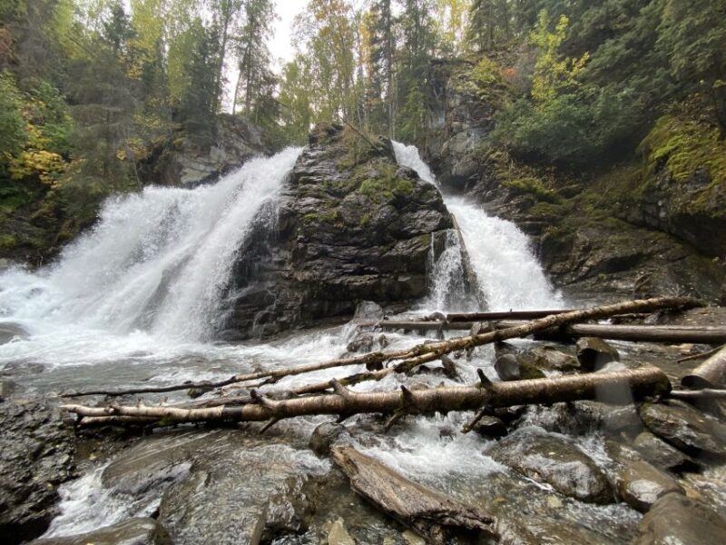 From Anchorage: Valley and Forest Hike with Naturalist Guide - Practical Details & Value