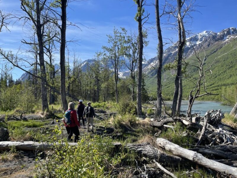 From Anchorage: Valley and Forest Hike with Naturalist Guide - FAQ
