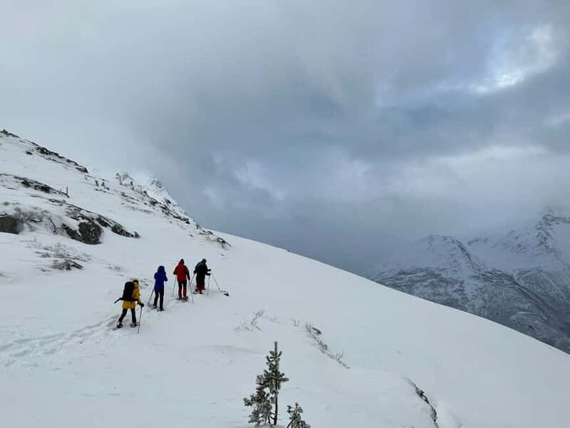 From Åndalsnes: Cable Car and Nesaksla Snowshoe Hike - Practical Tips for Your Visit