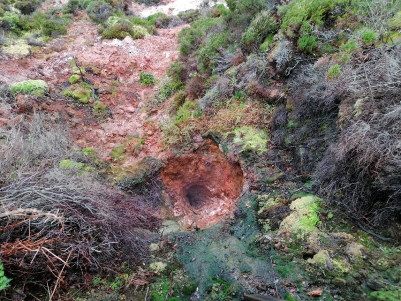 From Angra: Terceira Island Half-Day Geotour (Shared Tour) - Value and Practicalities