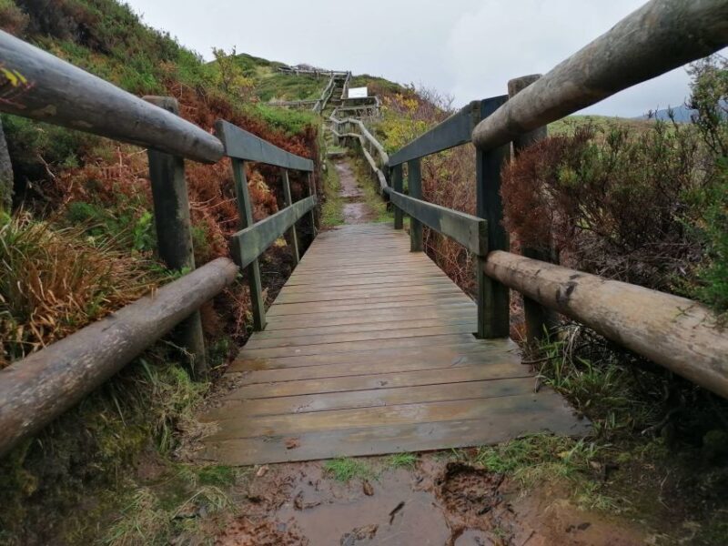 From Angra: Terceira Island Half-Day Geotour (Shared Tour) - FAQs