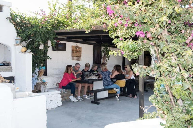 From Ano Mera: Day Tour & Wine Tasting with dinner At A Farm - Who Should Consider This Tour?