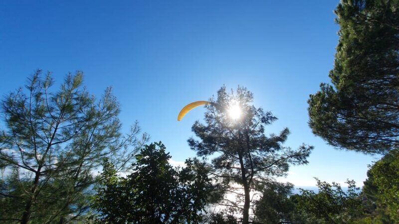 From Antalya/Alanya/Side: Paragliding Adventure - Insights from Other Travelers