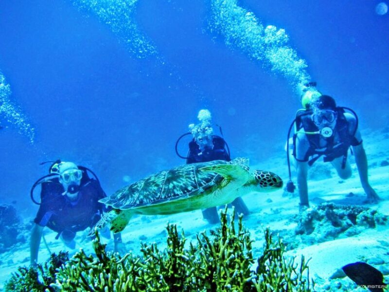 From Antalya| Kemer: Diving Tour with Experienced Instructor - What to Expect from the Antalya Kemer Diving Tour