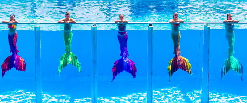 From Antalya/Kemer: Dolusu Park (Standart Package) - Final Thoughts: Who Should Consider Dolusu Park?