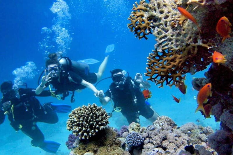 From Antalya: Scuba Diving With Lunch and Transfer - The Practical Side: Whats Included and Whats Not