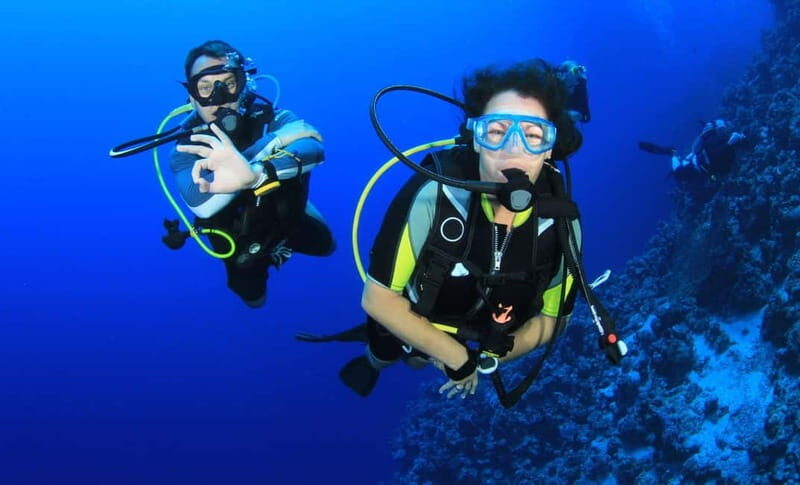 From Antalya: Scuba Diving With Lunch and Transfer - Who Will Love This Tour?