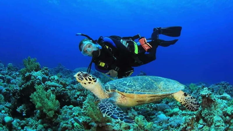 From Antalya: Scuba Diving With Lunch and Transfer - Final Thoughts: Is This Tour Worth It?