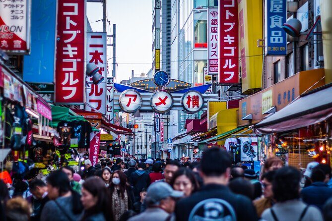 From Asakusa: Old Tokyo, Temples, Gardens and Pop Culture - Who This Tour Is Best For