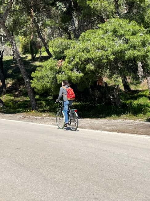 From Athens: Bike & Island Full-Day Tour to Poros - Practical Details