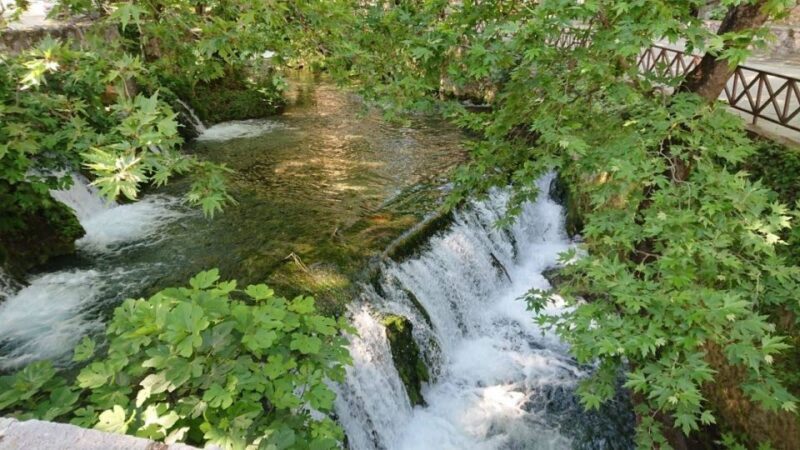 From Athens: Delphi Oracle & Stadium Private Historical Tour - Who Would Love This Tour?