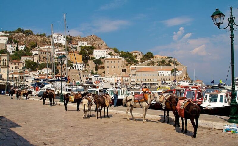 From Athens: Hydra Island Private Day Trip - Who Should Consider This Tour?