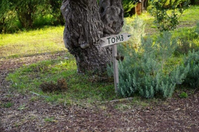 From Athens: Marathon Battlefield and Museum Private Tour - A Closer Look at the Marathon Battlefield Tour