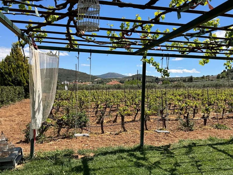 From Athens: Nemea Wine Tour with Corinth Canal Stop - Discovering Nemea and Corinth Canal: A Detailed Review