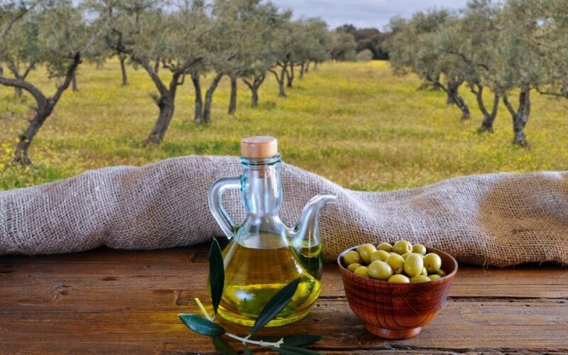 From Athens: Olive Oil Production & Wine Private Day Trip - Pricing and Value Analysis