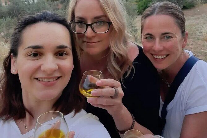 From Athens: Olive Oil Tasting, Olive Grove & Wine Experience - A Deep Dive into the Experience