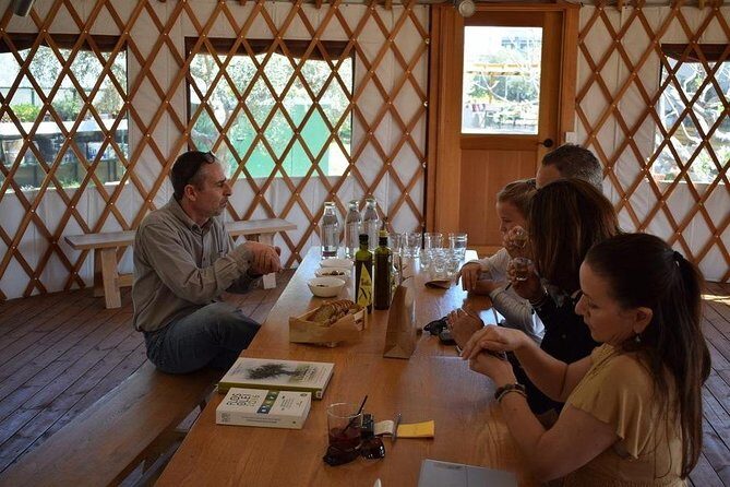 From Athens: Olive Oil Tasting, Olive Grove & Wine Experience - Wrapping It Up