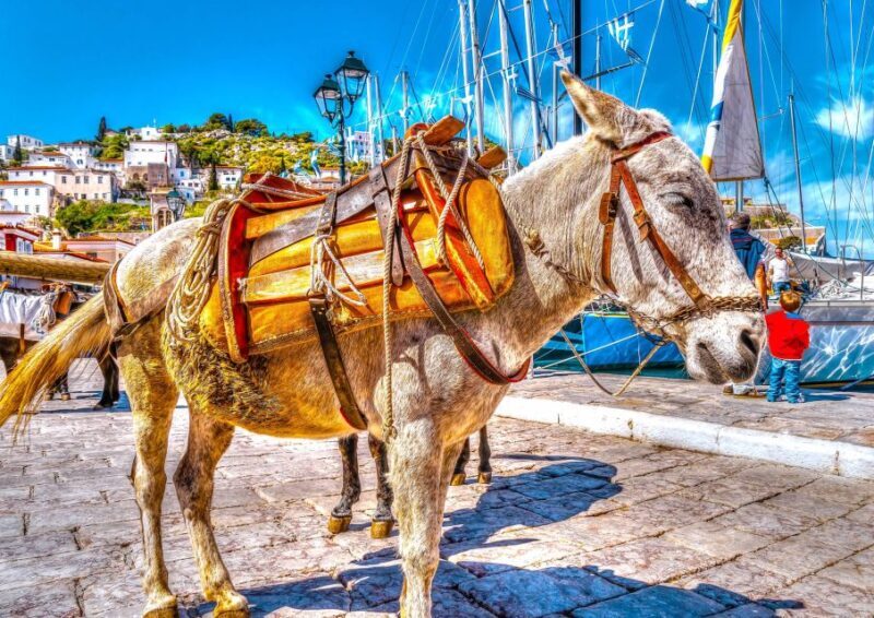 From Athens: Saronic Islands Full-Day Cruise with VIP Seats - Final Thoughts