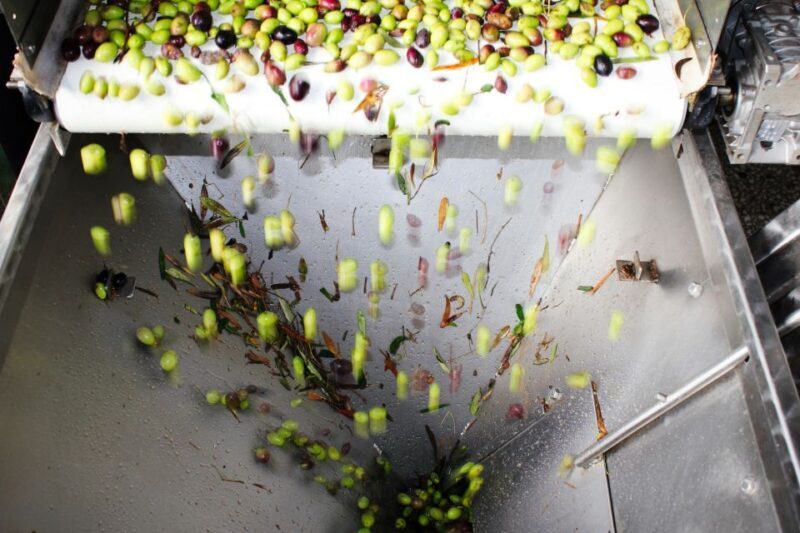 From Athens: Wine, Oil, & Cheese Tasting in Nemea & Argolis - An In-Depth Look at the Tour Experience