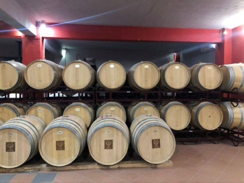 From Athens: Wine Roads Private Tour with Wine Tasting - Who Should Consider This Tour?