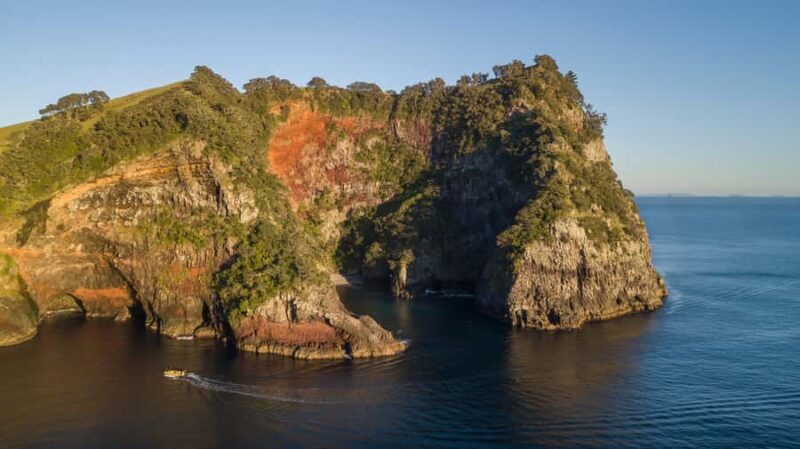 From Auckland: ALDERMAN ISLANDS (Ruamaahu) Day Trip - An In-Depth Look at the Aldermen Islands Day Trip