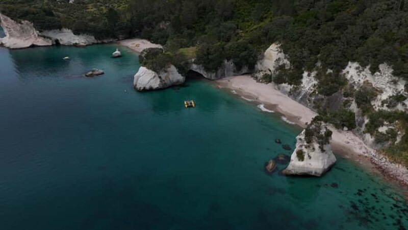 From Auckland: ALDERMAN ISLANDS (Ruamaahu) Day Trip - Authentic Experiences and What You’ll Take Home
