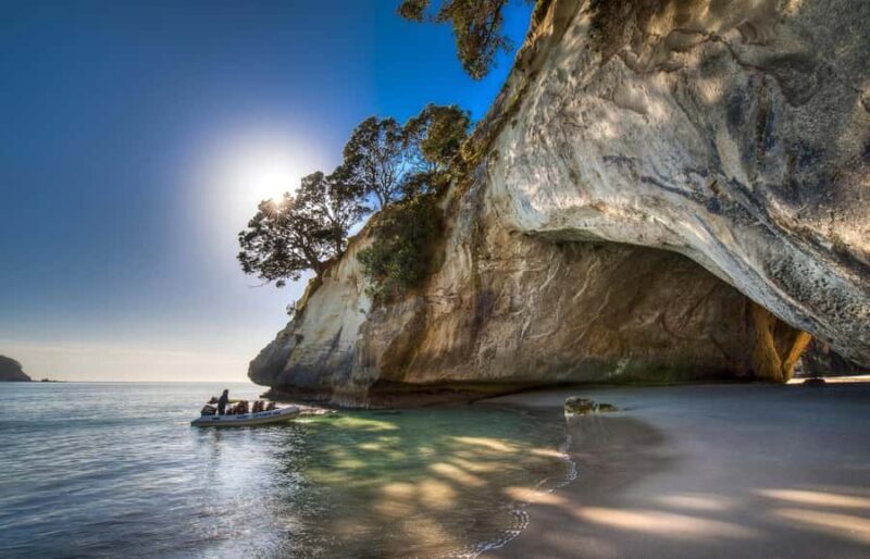 From Auckland: Cathedral Cove & Hot Water Beach Tour - Key Points