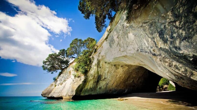 From Auckland: Cathedral Cove & Hot Water Beach Tour - An Introduction to the Experience