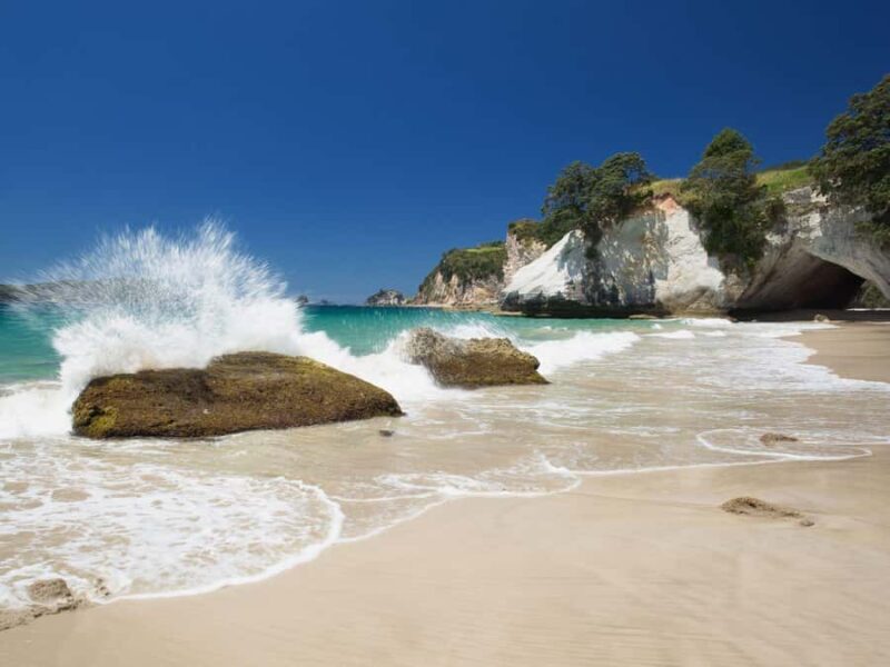 From Auckland: Cathedral Cove & Hot Water Beach Tour - Transportation and Group Experience