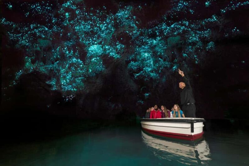 From Auckland: Day Trip to Waitomo Glow Worm Caves - FAQs