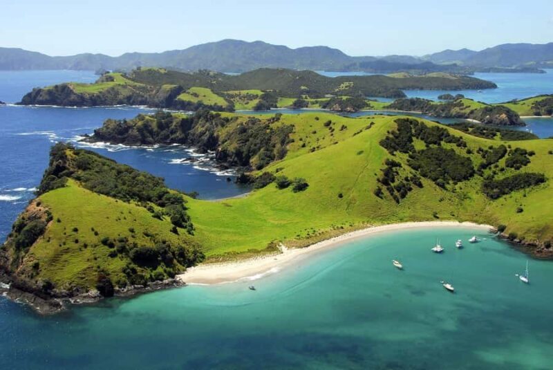 From Auckland: Full-Day Tour to the Bay of Islands - Exploring the Details of the Tour