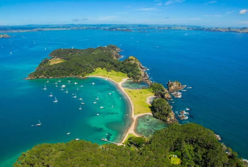 From Auckland: Full-Day Tour to the Bay of Islands - Insights from Reviews