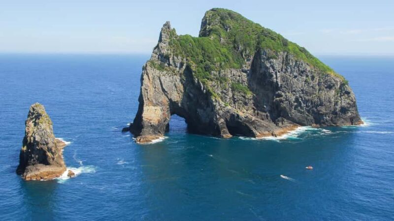 From Auckland: Full-Day Tour to the Bay of Islands - Who Should Consider This Tour?