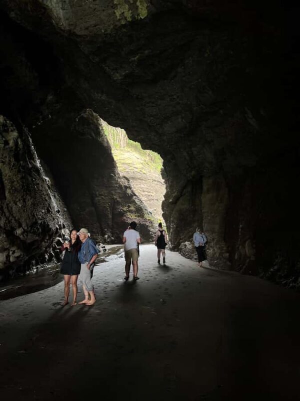 From Auckland: Guided Tour of Piha with Scenic Beach Walks - Key Points