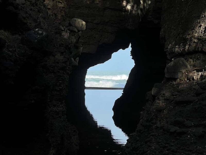 From Auckland: Guided Tour of Piha with Scenic Beach Walks - Who Would Love This Tour?
