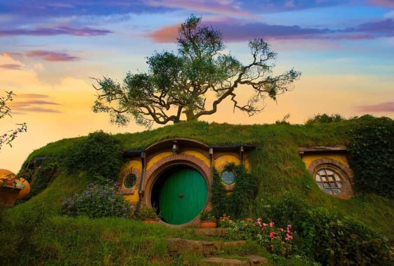 From Auckland: Hobbiton Movie Set Private Tour (Flexible) - Analyzing the Value: Is It Worth the Cost?