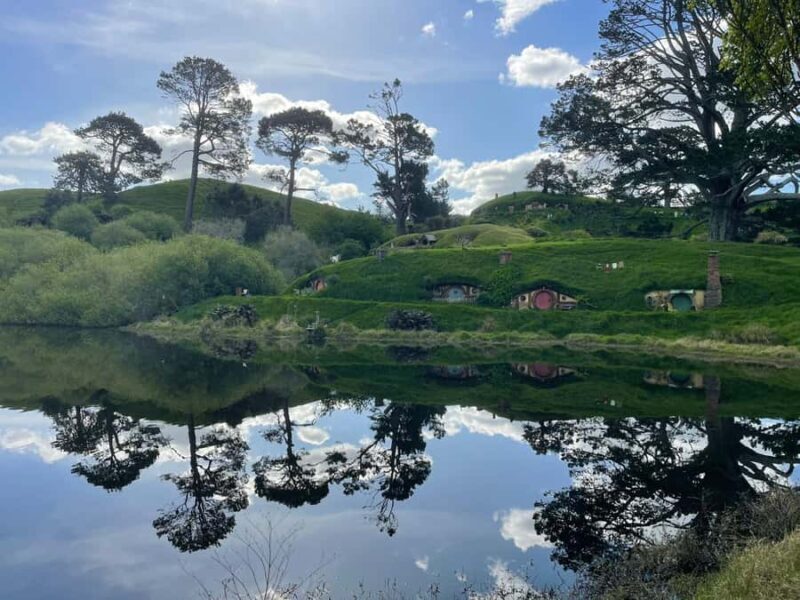 From Auckland: Hobbiton, Waitomo Caves & Kiwi House Tour - From Auckland: Hobbiton, Waitomo Caves & Kiwi House Tour — A Detailed Look