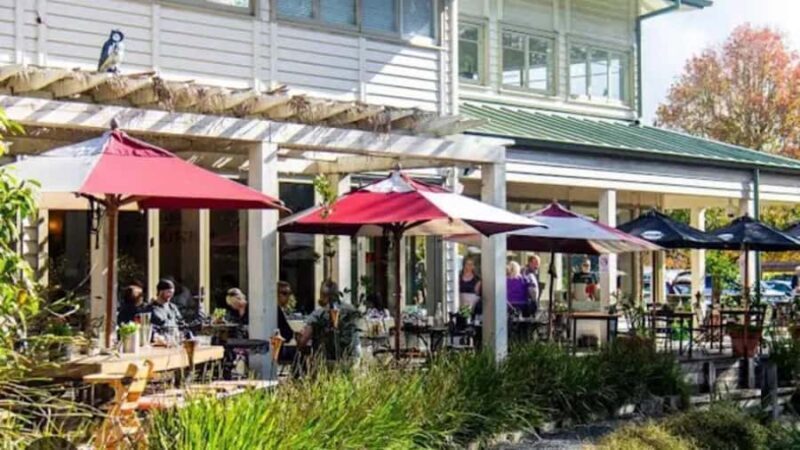 From Auckland: Kiwi Bird Encounter & 3-Course Dinner Tour - Key Points