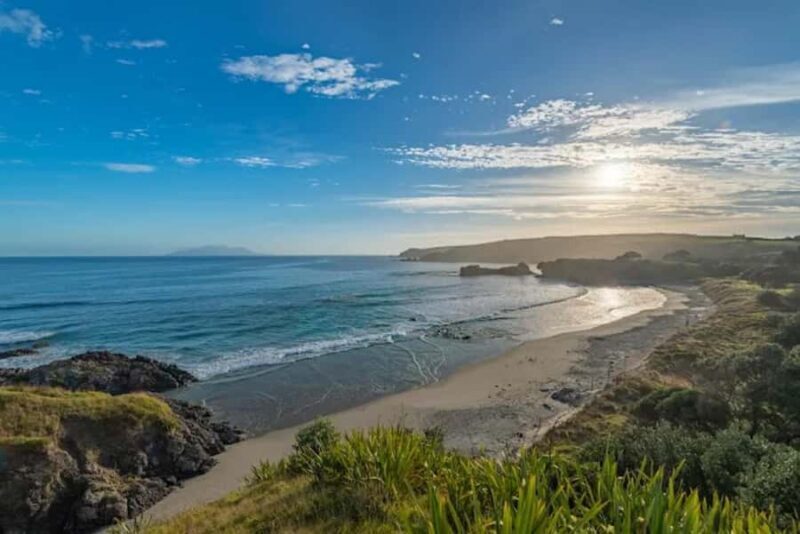 From Auckland: Kiwi Bird Encounter & 3-Course Dinner Tour - What Makes This Tour Special?