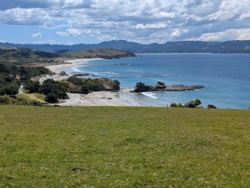 From Auckland: Kiwi Bird Encounter & 3-Course Dinner Tour - Who Is This Tour Best For?