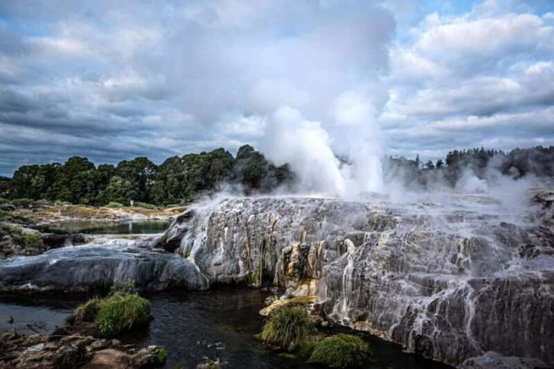 From Auckland: Rotorua Te Puia, Haka & Polynesian Spa Tour - Cultural Insights and Interactions
